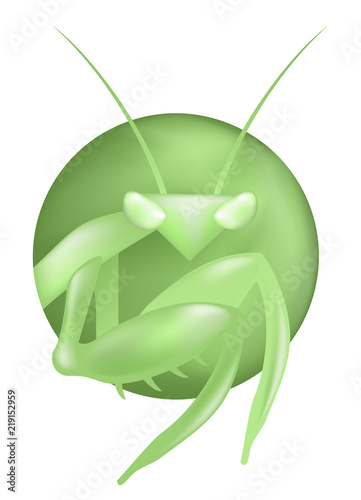 creative mantis illutration
