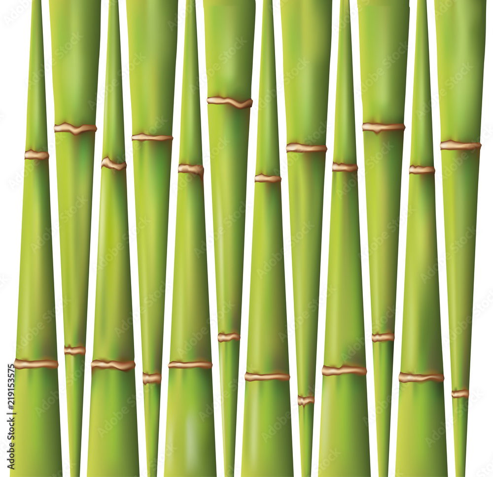 Obraz premium bamboo background design