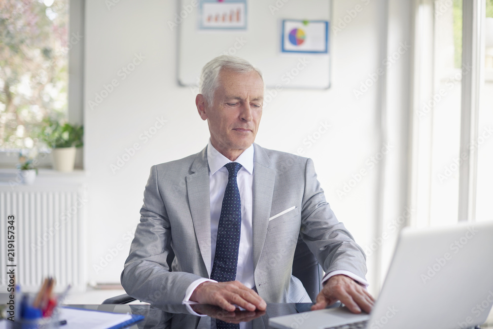 Executive financial director working in the office.