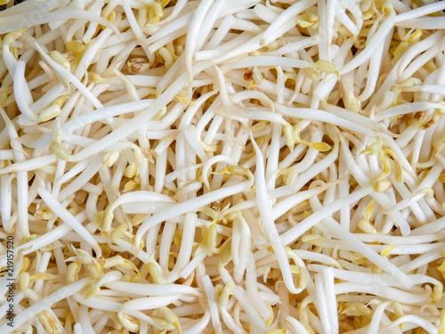 food background texture mung bean sprout