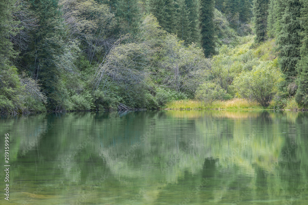 reflection of conifers in the water, summer landscape, Kazakhstan, Lake Kolsai reflection of conifers in the water, summer landscape, Kazakhstan, Lake Kolsai