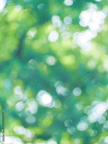 イルミネーション<illumination>