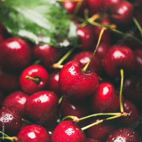 Fresh sweet cherry texture, wallpaper and background. Wet sweet cherries, selective focus, square crop. Summer food or local market produce concept