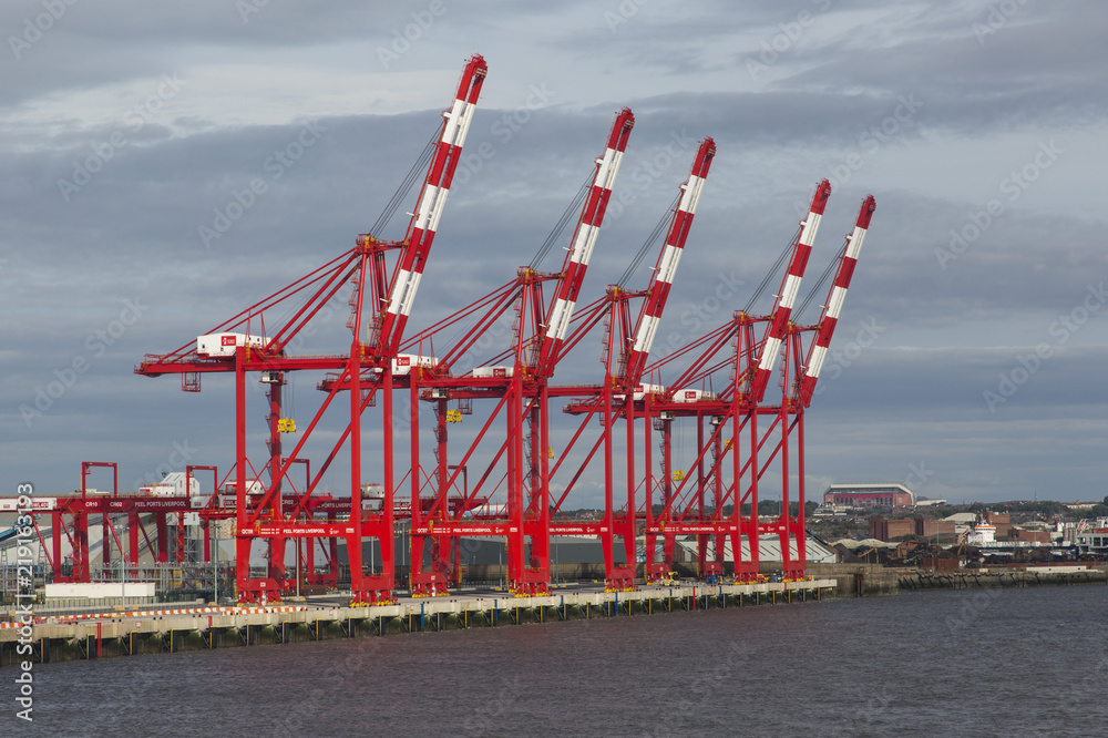 Container Terminal Cranes