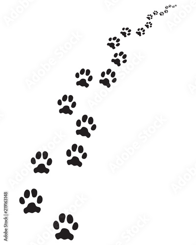 Footprints of dog, turn right or left © KatarinaF