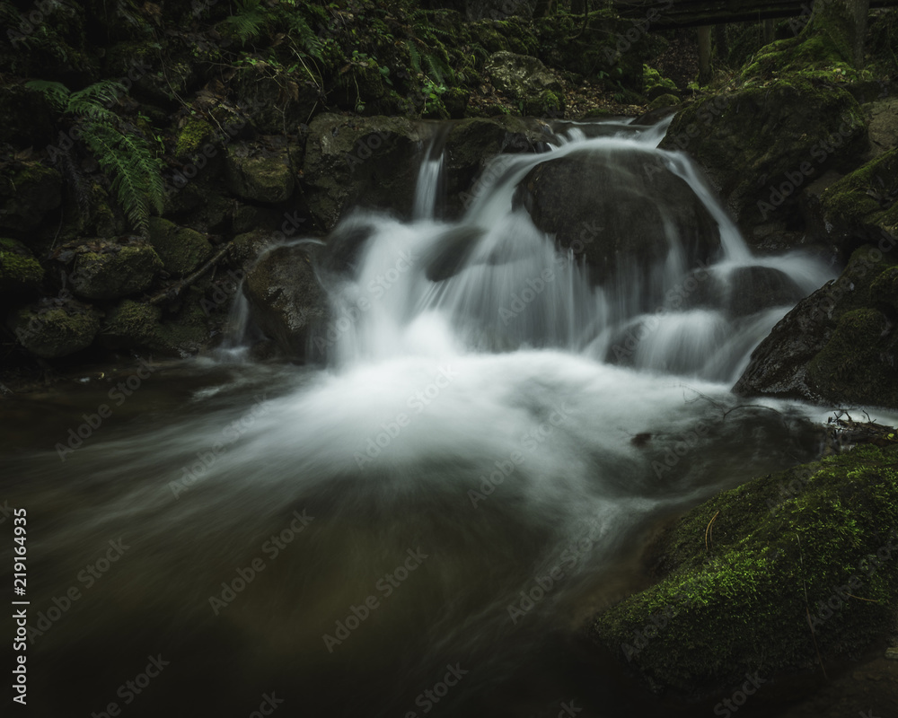 Waterfall in the forest