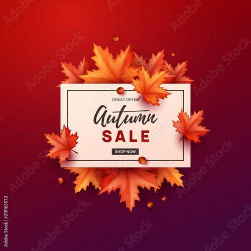 Autumn banner with colorful leaves. Vector illustration.