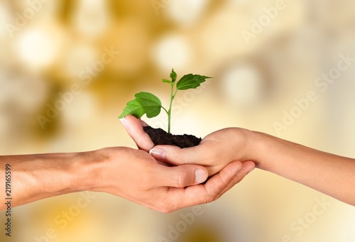 Green Growing Plant in Human Hands on beautiful natural