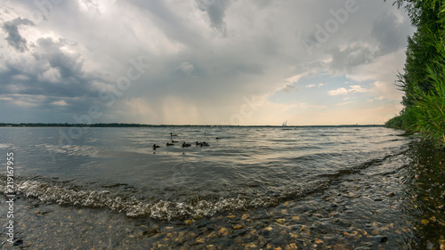 Wallpaper Mural Enten Familie auf dem Cospudener See bei Leipzig bei heranziehendem Sturm Torontodigital.ca