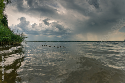 Enten Familie auf dem Cospudener See bei Leipzig bei heranziehendem Sturm photo