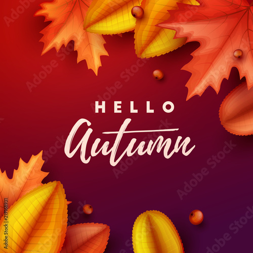 Autumn background with colorful leaves. Vector illustration.