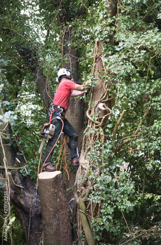 Male Tree Surgeon with a chainsaw