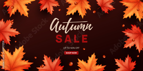 Autumn sale background with colorful leaves. Vector illustration.