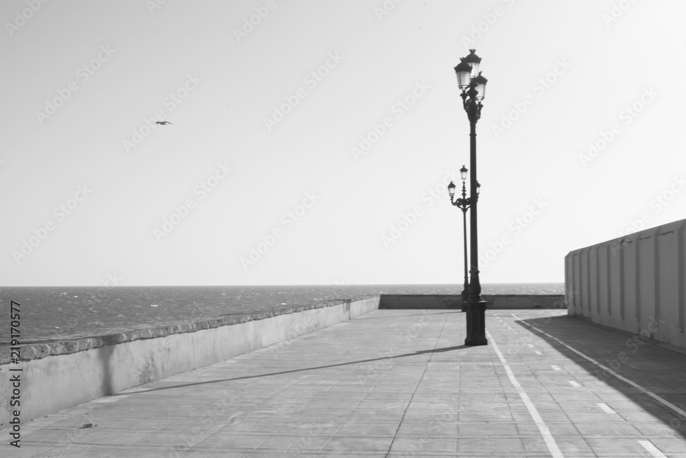 Cadiz seafront, shadows and seagull