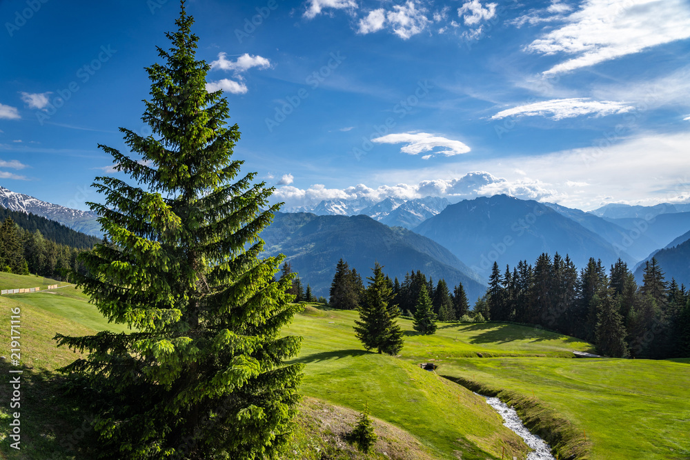 Obraz premium Scenic view of beautiful landscape in Swiss Alps. Fresh green meadows and snow-capped mountain tops in the background in springtime, Switzerland.