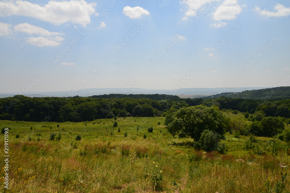 Fototapeta premium Green landscape 2