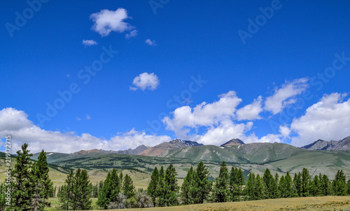 Kuray mountain range and steppe - beautiful sunny summer landscape