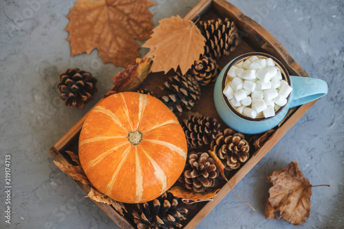 Autumn still life from tray full of pumpkin, leaves, cones, mug of cocoa, coffee or hot chocolate with marshmallow on concrete background. Concept warm home comfort.