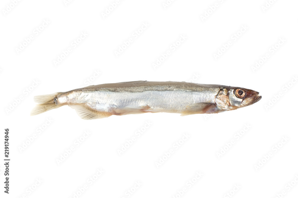 sea fish capelin isolated on white background