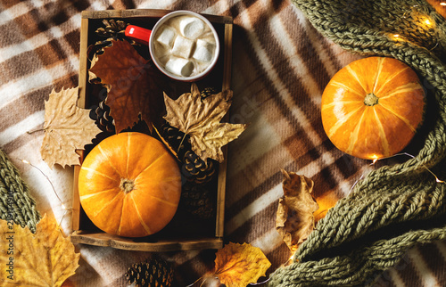 Autumn still life from tray full of pumpkin, leaves, cones, scarf, mug of cocoa, coffee or hot chocolate with marshmallow on plaid with garland. Concept warm home comfort.