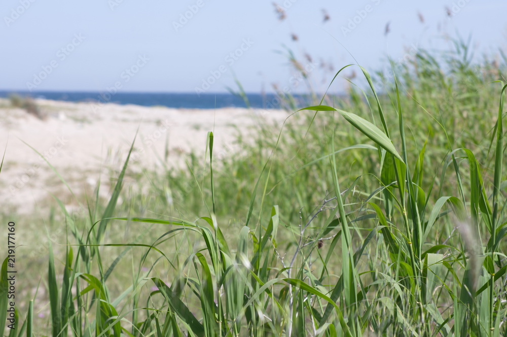 Obraz premium Canono Eos