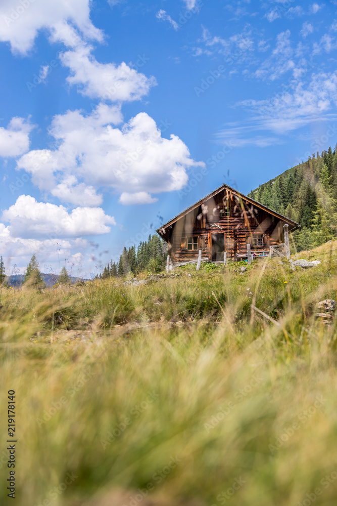 Obraz premium Almhütte in den Bergen: Bäume, grüne Wiese und blauer Himmel