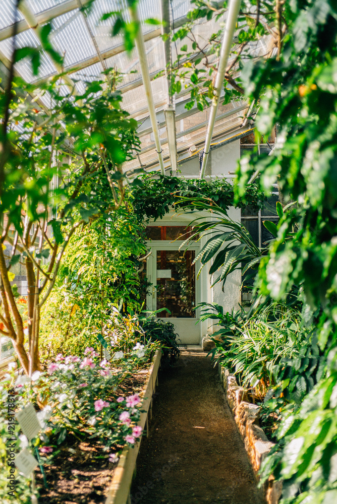 Streifzug durch den Botanischen Garten der Uni Greifswald Streifzug durch den Botanischen Garten der Uni Greifswald