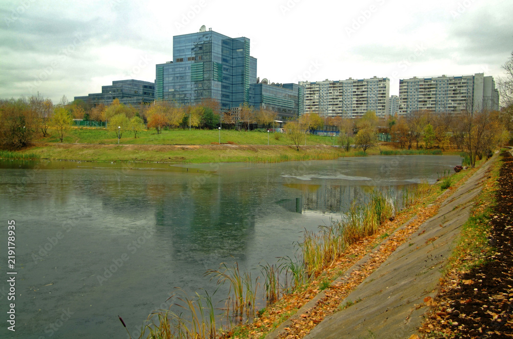 Fototapeta premium pond in autumn Park in Moscow