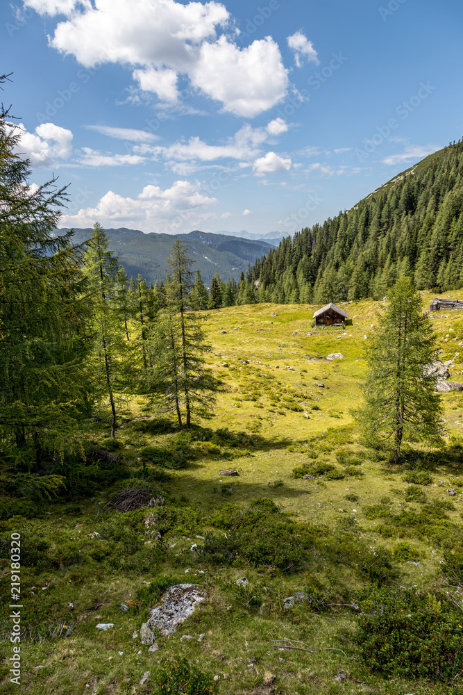 Almhütte in den Bergen: Bäume, grüne Wiese und blauer Himmel