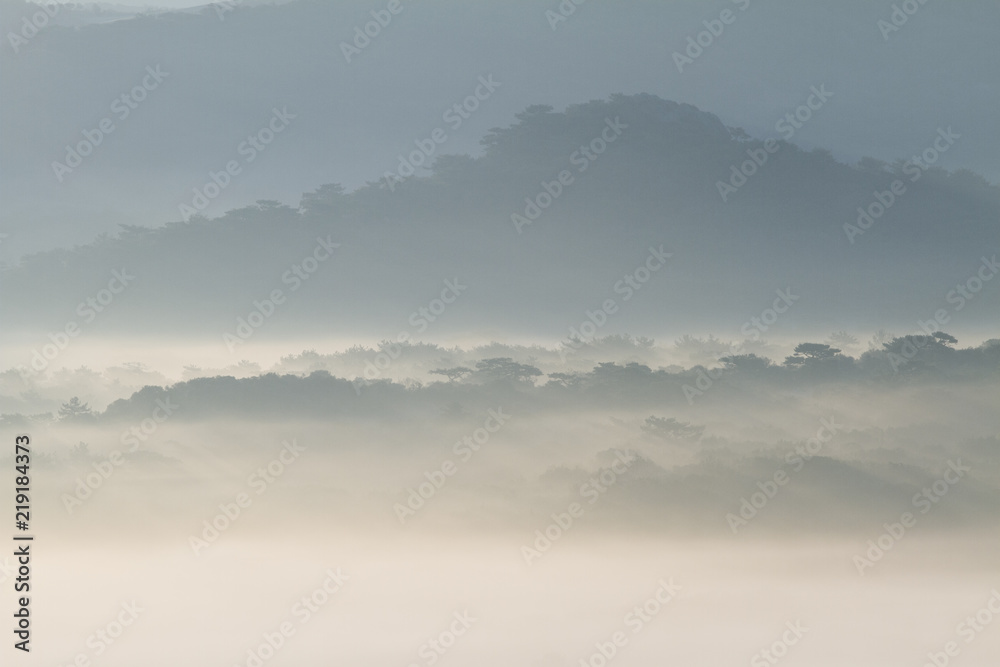 Morning landscape with fog