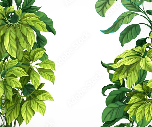 Tropical leaf frame isolated on white background