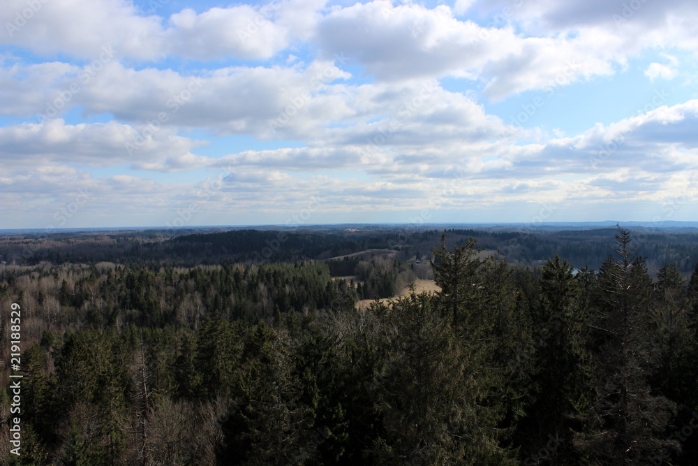 View from the highest mountain Suur Munamägi in estonia