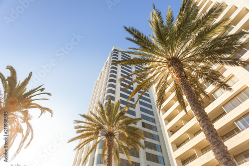 Bottom view on palms and modern buildings in Los Angeles