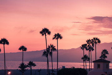 Fototapete Nordamerika Purple sunset in Santa Monica with silhouettes of palms  © nata_rass