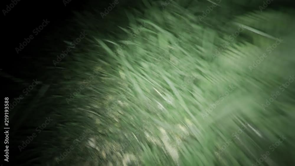 POV running and escaping through dark forest at night. Running through pitch black wilderness trying to get away because of dangerous terrifying situation. Getting away from chasing killer.