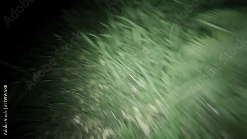 POV running and escaping through dark forest at night. Running through pitch black wilderness trying to get away because of dangerous terrifying situation. Getting away from chasing killer.