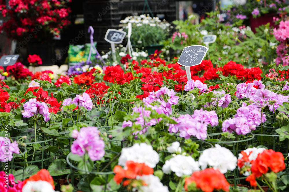 Flowermarket Lille France Flowermarket Lille France