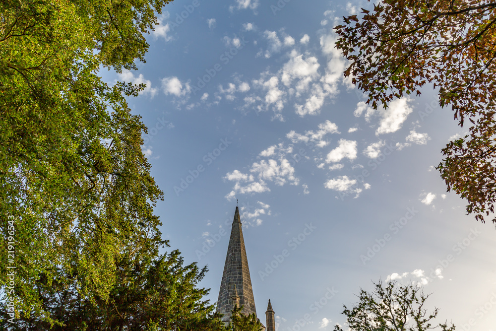 Looking up at a church spire and trees against a blue sky