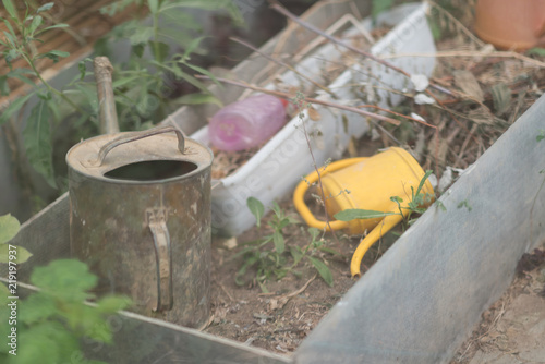 old watering can in a garden