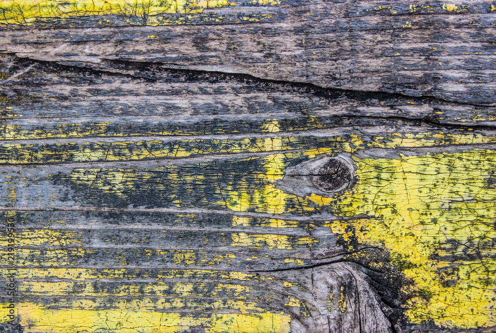 The texture of the tree is covered with the remains of a yellow paint