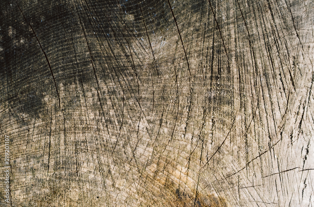 Naklejka premium Texture, background, cracks in the tree stump