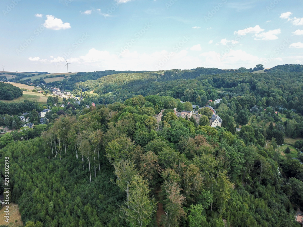 aerial view of a forrest in hartenstein, saxony, germany