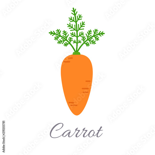 Carrot icon with title