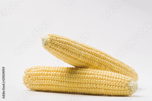 Corn on white isolated background.
