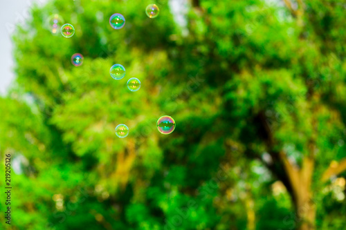 Some soap bubbles on green summer blurred background