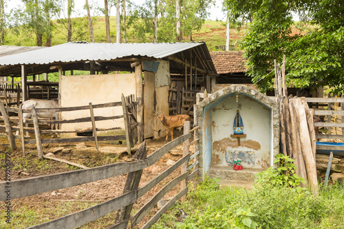 Oratório em curral de gado leiteiro em Garani, Minas Gerais photo