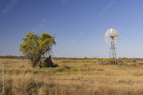 windmill and anthill