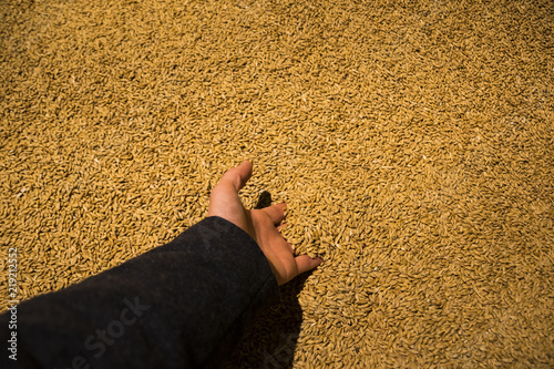 Feeling raw yeast in a big container at the Guinness Storehouse in Dublin. photo