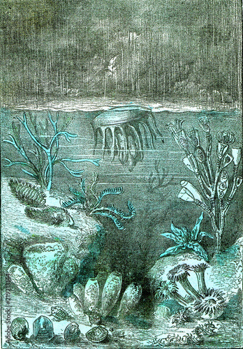 Ideal view of the land and the seas at the beginning of the Silurian period, vintage engraving. photo