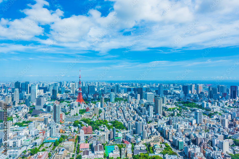Naklejka premium Tokio gród Tokio panoramę miasta z Tokyo Tower